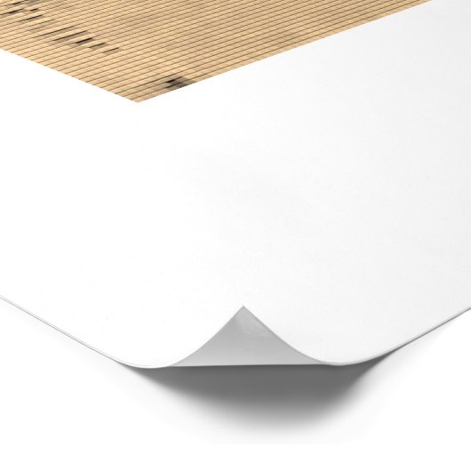 ゼブリックス ポスター (角)