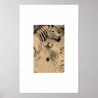 ゼブリックス ポスター