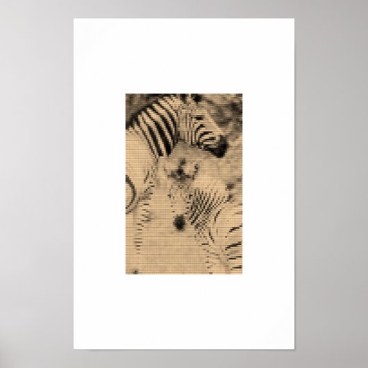 ゼブリックス ポスター (正面)