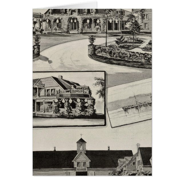 ゼブリー・ファーム・ネスダウン (正面)