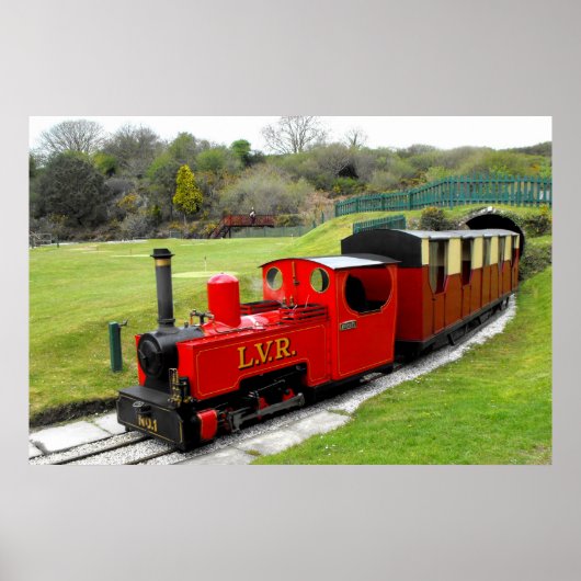 ゼベダイ蒸気列車 ポスター (正面)