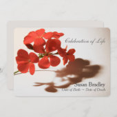 ゼラニウムお祝いの生活告示録 招待状 (正面/裏面)