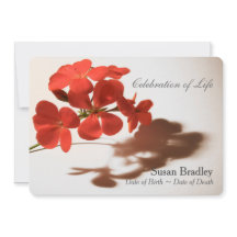 ゼラニウムお祝いの生活告示録