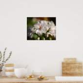 ゼラニウムのポスター ポスター (キッチン)