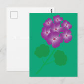 ゼラニウムの花 ポストカード (正面/裏面)