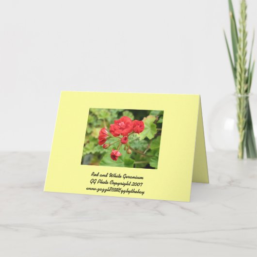 ゼラニウムカード カード (裏面)