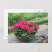 ゼラニウム感じ – 早く良い ポストカード (正面/裏面)