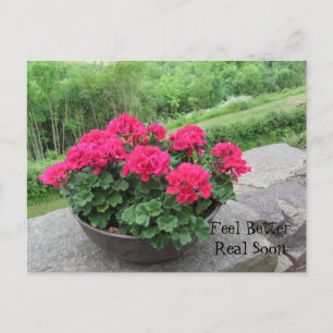 ゼラニウム感じ – 早く良い ポストカード