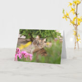 ゼラニウム猫 カード (黄色い花)