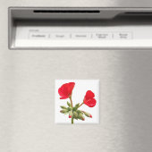 ゼラニウム磁石 マグネット (インサイチュ (食洗機))