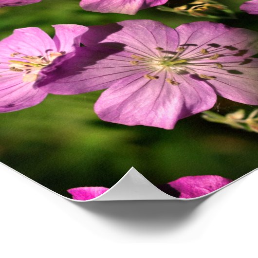 ゼラニウム花の乗算抽象芸術 ポスター (角)