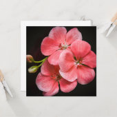 ゼラニウム花 カード (正面/裏面インサイチュ)