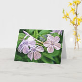 ゼラニウム開花聖なる書物、 経典カードエククレシアテス3:1 カード (黄色い花)