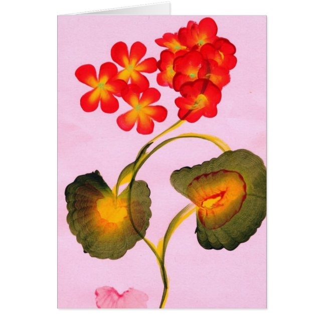 ゼラニウム (正面)