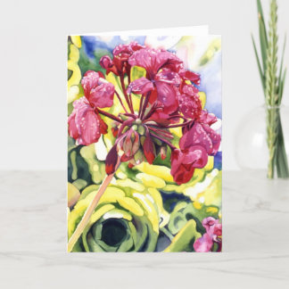 ゼラニウム カード