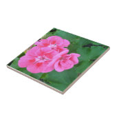 ゼラニウム タイル (側面)