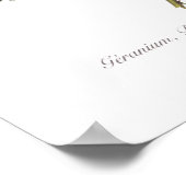 ゼラニウム、バラ及び亜麻 ポスター (角)