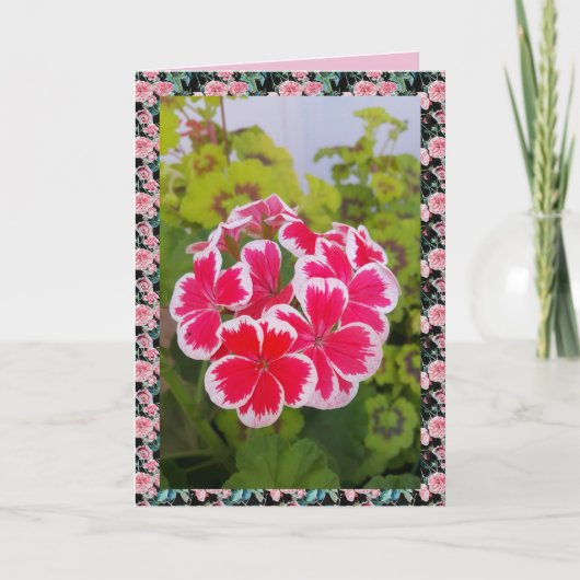 ゼラニウム ペラルゴニウム 花 ガーデン フラワーデザイン カード (正面)