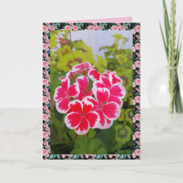 ゼラニウム ペラルゴニウム 花 ガーデン フラワーデザイン カード