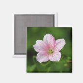 ゼラニウム マグネット (正面/裏面)