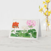 ゼラニウムby谷上湖南 カード (黄色い花)