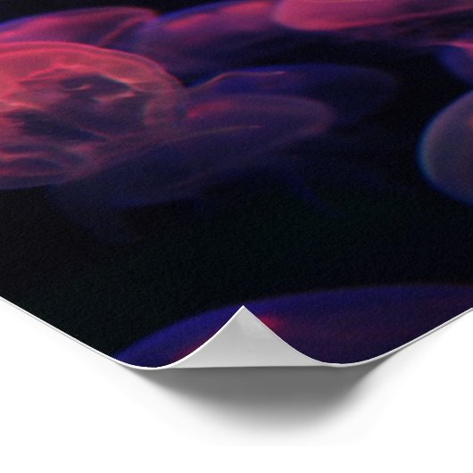 ゼリーの愛 ポスター (角)