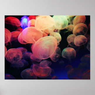 ゼリーの愛 ポスター