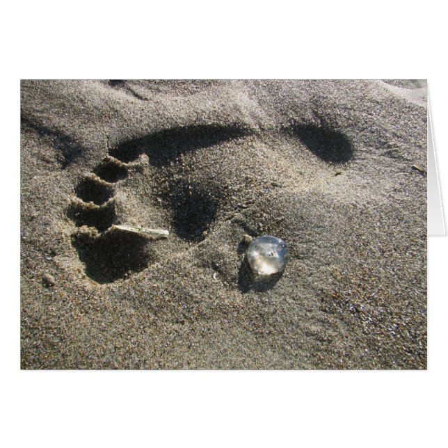 ゼリーの足 (正面横)