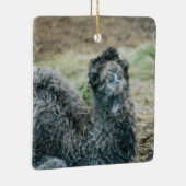 ゼリーババ セラミックオーナメント (右)