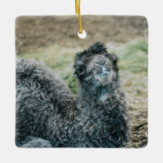 ゼリーババ セラミックオーナメント (正面)