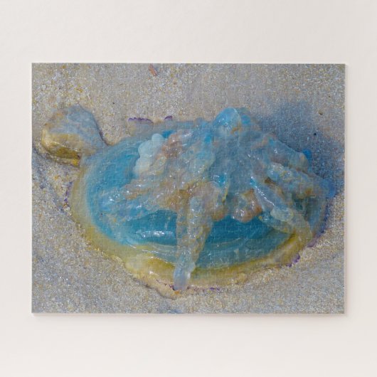 ゼリーフィッシュジグソーパズル ジグソーパズル (横)