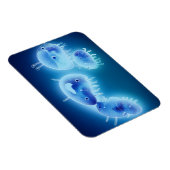 ゼリーフィッシュ2013 マグネット (右側)