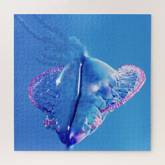 ゼリーフィッシュ・ポルトガル戦争男性 ジグソーパズル (横)