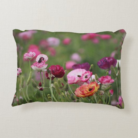 ゼリー状の豆色のランヌカルス アクセントクッション (裏面)