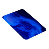 ゼリー磁石 マグネット (右側)