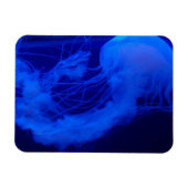 ゼリー磁石 マグネット (横)