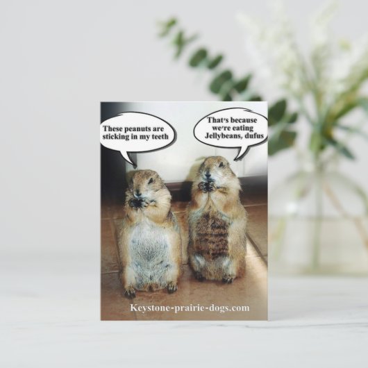 ゼリー菓子 ポストカード (スタンド正面)