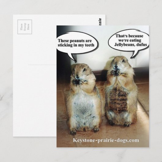 ゼリー菓子 ポストカード (正面/裏面)