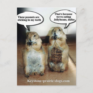 ゼリー菓子 ポストカード