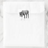 ゼロフィルタ – ヘッドオンドッグあくびれ スクエアシール (バッグ)