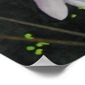 ゼンリリー ポスター (角)