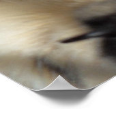 ゼン子猫 ポスター (角)