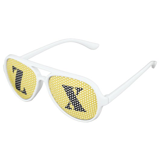 ゼータチーパーティーシェード アビエーターサングラス (アングル)