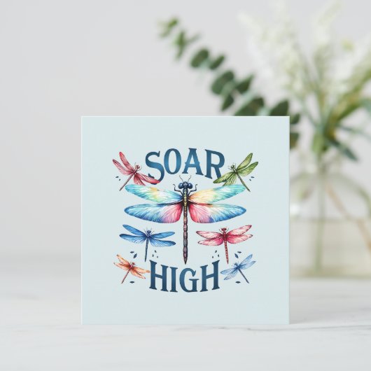 ソアハイ – ドラゴン芸術的フライ (スタンド正面)