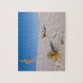 ソアプツリーユッカ、ロングシャドー、横ダネス ジグソーパズル (縦)