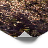 ソアポスター ポスター (角)