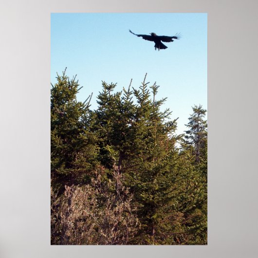 ソアポスター ポスター (正面)