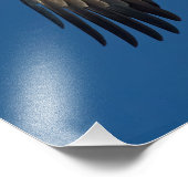 ソアリングイーグル フォトプリント            (角)