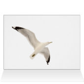 ソアリングガルル (内部横(上))