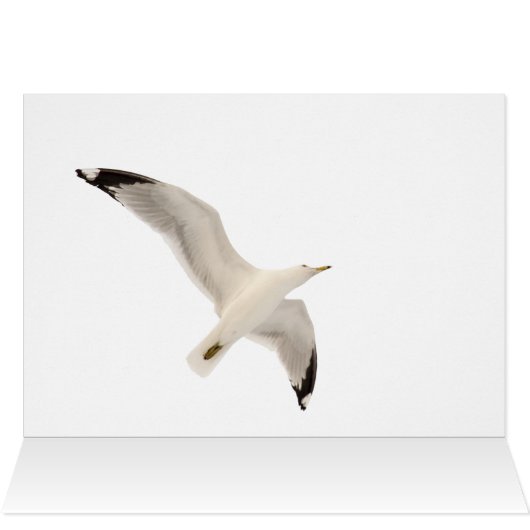 ソアリングガルル (内部横(上))